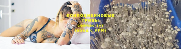 спиды Абаза