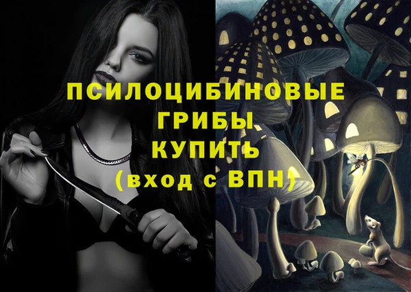 спиды Абаза
